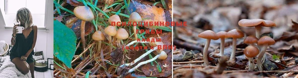 ешки Пестово