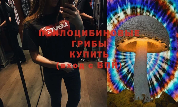 MESCALINE Осинники