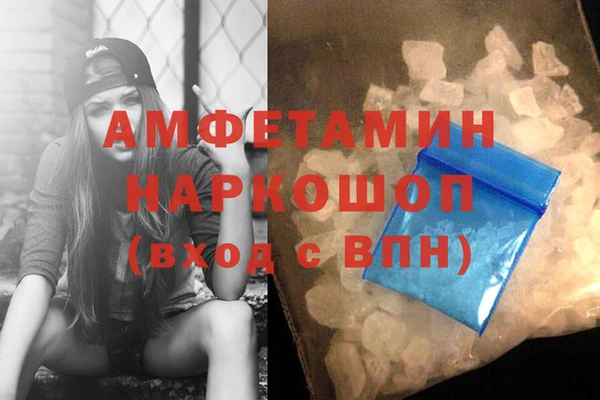 МДПВ Пересвет