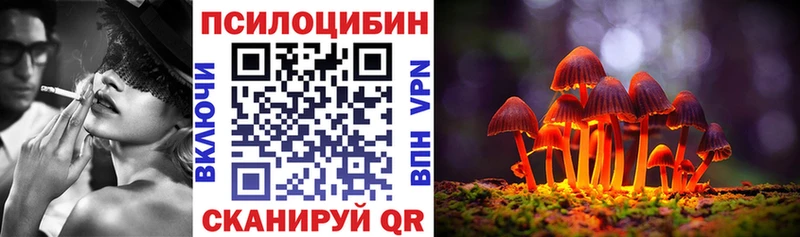 наркошоп  Карабаново  Псилоцибиновые грибы Magic Shrooms 